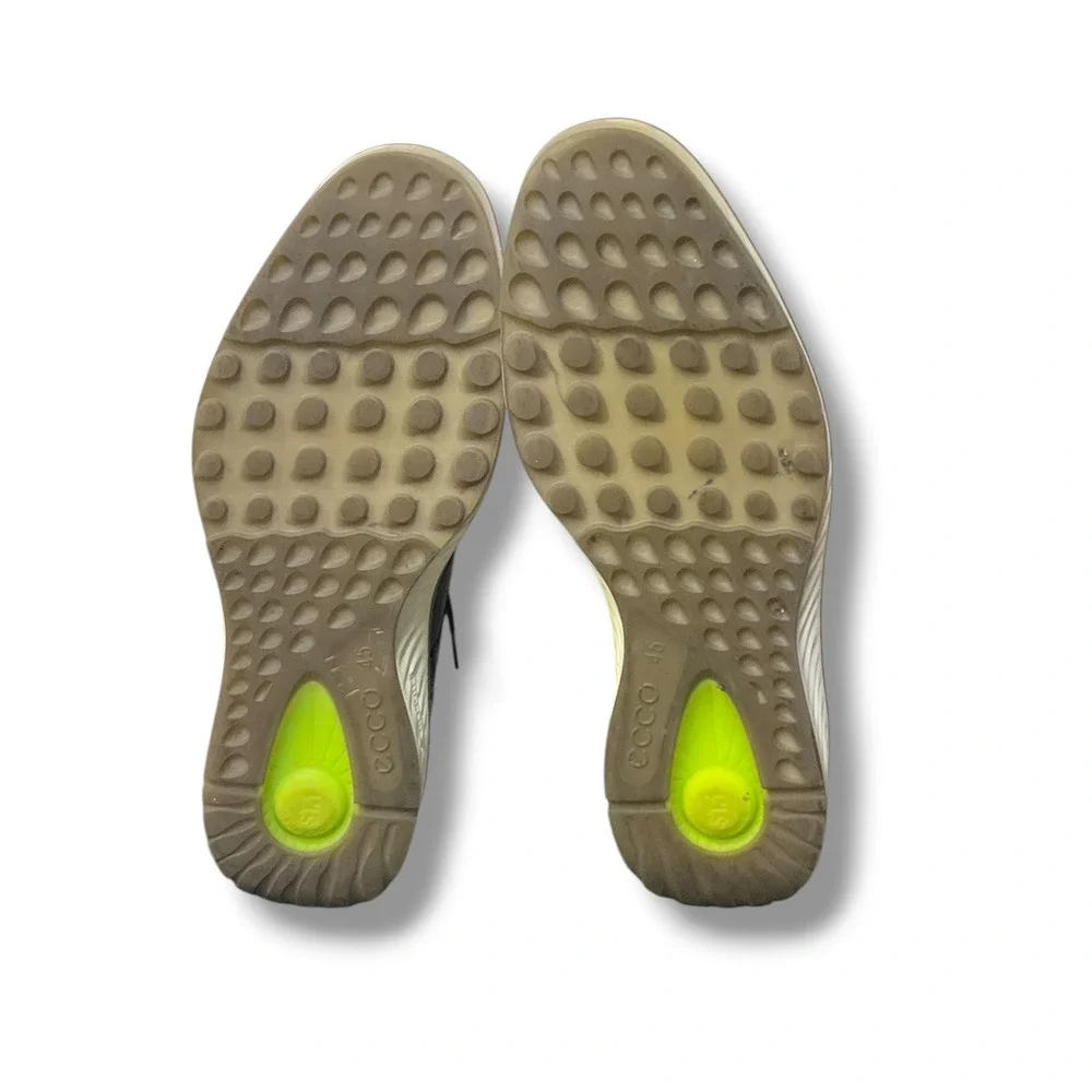 Ecco brand model